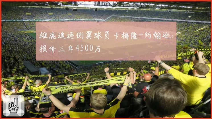雄鹿追逐侧翼球员卡梅隆-约翰逊，报价三年4500万